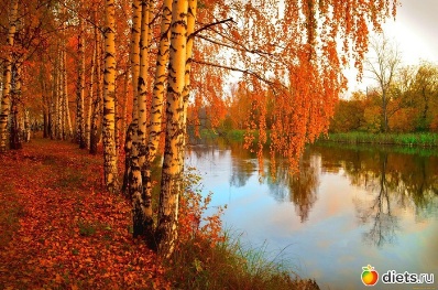 Where was best surprise gift for boyfriend Island The